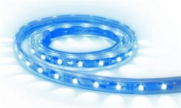 Ps LED STRIP 12V DC, 4,8W/m  240lm IP65 BL modr 5m GXLS014